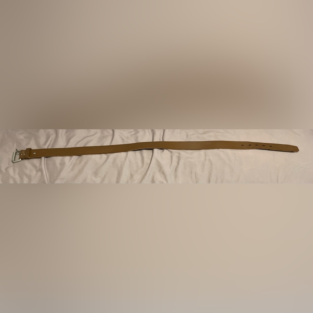 Men’s American Eagle Belt